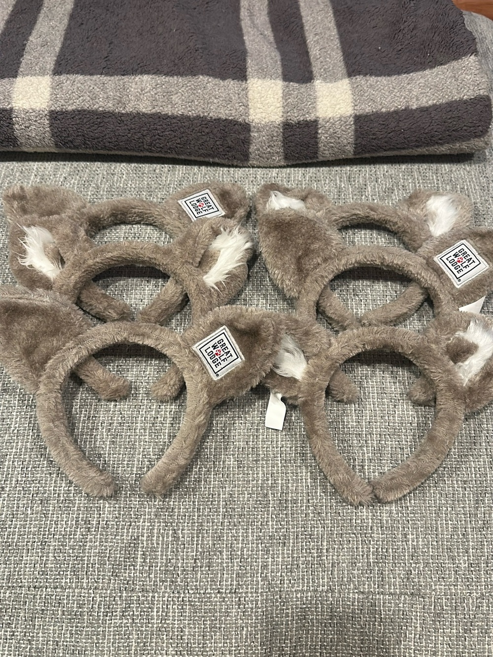 Great Wolf Lodge ears